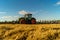 Agriculture plowing tractor on wheat cereal fields