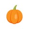 Agriculture pumpkin icon flat isolated vector