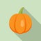 Agriculture pumpkin icon, flat style