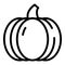 Agriculture pumpkin icon, outline style