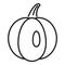 Agriculture pumpkin icon, outline style