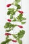 Agriculture radish background, bright bunch bundle. Diet food