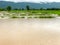 Agriculture Rice field flooded damage