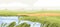 Agriculture rice field landscape. Asian farm land with crop and water. Indian farmland in summer. Plantation panorama