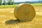 Agriculture - Round hay bales on an alfalfa field