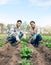 Agriculture, soil and farming couple gardening plants or vegetables growth on an agro, eco friendly land for green