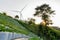 Agriculture strawberry farm with windmill energy power on mountain slope.