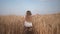 Agriculture, sweet small girl with long blond hair in white outfit runs across field with wheat ripe harvest warm autumn