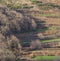 Agriculture terraces with Beech forest