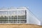 Agriculture tomato greenhouse