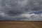 Agriculture.The tractor prepares the field for sowing wheat in