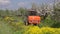 Agriculture tractor spray fertilize blossoming apple orchard