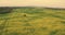 Agriculture Tractor Spraying Summer Crop Wheat Field