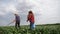 agriculture. two farmers work walk green field grass crop in field. workers farmers walk home after farm harvesting a