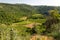 Agriculture vineyard area field view.