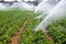 Agriculture water spray