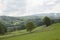 Agriculture wheat field with young plants, hills with village in the background