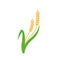 Agriculture wheat Logo Template