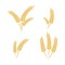 Agriculture wheat set vector Illustration design template. elements of wheat grain, wheat ears, seed or rye, prosperity symbol