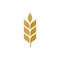 Agriculture wheat vector icon design