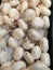 Agriculture-white champignons and fresh
