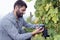 Agriculture Wine Industry Man Harvesting Vine