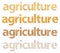 Agriculture Words Abstract Made Of Grains