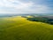 Agriculture yellow fields aerial view. Sunny day over fields. Aerial agricultural background.