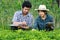 Agriculture Young men and women farmers inspecting plant organic field