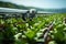 Agricultures future Robotic efficiency takes over watering  copyspace for industry transformation