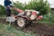 Agriculturist controlling hand tractor plowing on soil field in plantation. Agribusiness preparing cultivated land for sowing