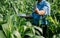 Agriculturist utilize the core data network in the Internet from the mobile to validate, test, and select the new crop method.