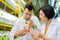 Agriculturist working with colleague while planting greens