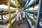 Agriculturists standing between shelves with green in the greenhouse