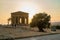 Agrigento, Sicily, Italy. front of the Temple of Concord with an old olive tree