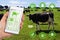 Agritech concept smartphone app accessing dairy cows data and st