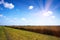 Agroindustrial industrial landscape with combine harvesters picking up hay on a field on a sunny day against a background of