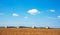 Agroindustrial industrial landscape with combine harvesters picking up hay on a field on a sunny day against a background of