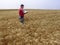 Agronomist analyzing plants