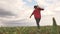 Agronomist of the beet field harvesting sugar beet. An American man walks in rubber boots across the field with a bag on