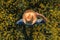 Agronomist in blooming oilseed rape field, aerial view