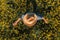 Agronomist in blooming oilseed rape field, aerial view