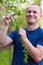 Agronomist checking cherry tree flowers