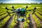 agronomist drone makes plant fertilization with liquid fertilizers