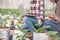 Agronomist examining plant in melon field, Couple farmer and researcher analyzing melon  plant