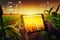 Agronomist farmer man using digital tablet computer in a young cornfield at sunset or sunrise