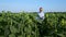 The agronomist finished inspecting the sunflower harvest.