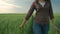Agronomist girl caressing green plants on organic farm while walking in barley field on background of sky close up