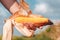 Agronomist holding corn on the cob in the field