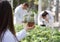 Agronomist holding seedling in flower pot in greenhouse